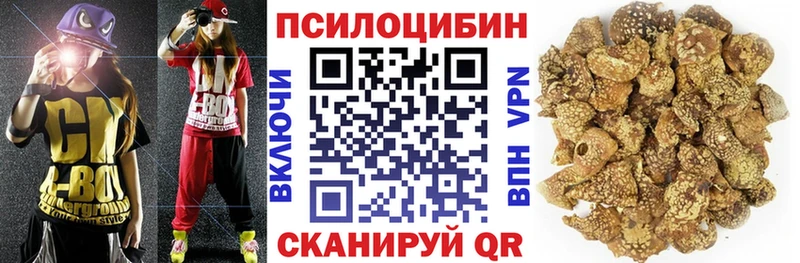 закладка  Усмань  ссылка на мегу ССЫЛКА  Галлюциногенные грибы Psilocybine cubensis 